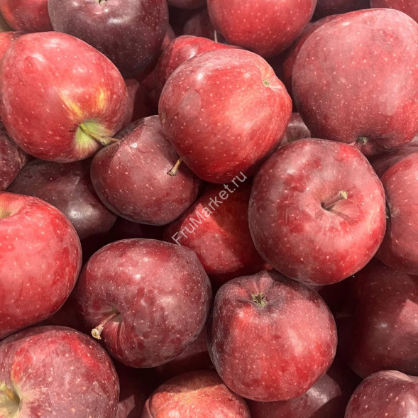 Яблоки Ред Россия 1 кг