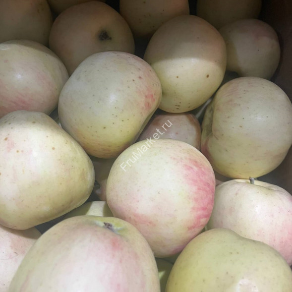 Яблоки Вишневка 1 кг