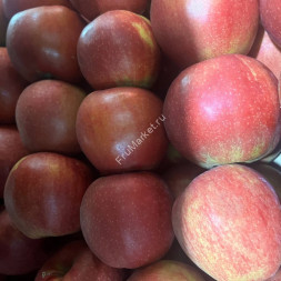 Яблоки Чемпион Россия 1 кг