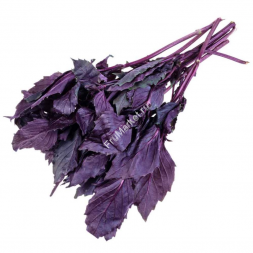 Базилик красный 1 кг