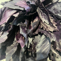 Базилик красный 0.5 кг