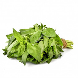 Базилик зеленый 1 кг