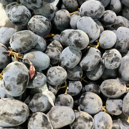 Черный виноград Мерседес Премиум Узбекистан 0.5 кг