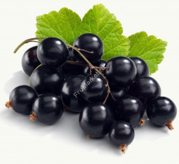 Черная смородина 1 кг Россия