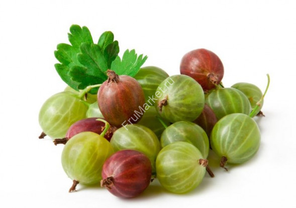 Крыжовник 1 кг