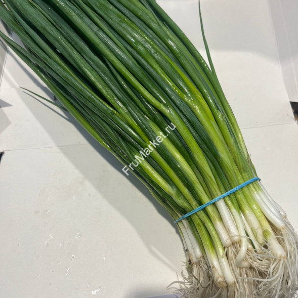 Лук зеленый 1 кг