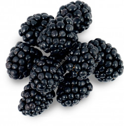 Ежевика 1 кг Россия