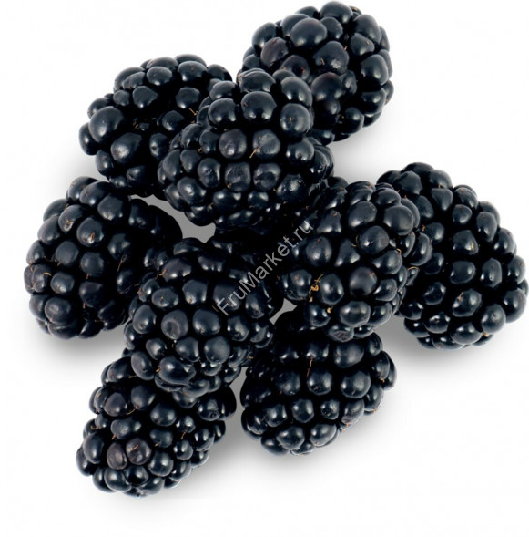 Ежевика 1 кг Россия