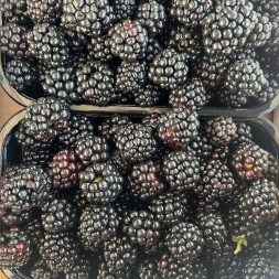 Ежевика 1 кг Россия