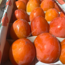 Хурма Свечка Азербайджан 0.5 кг