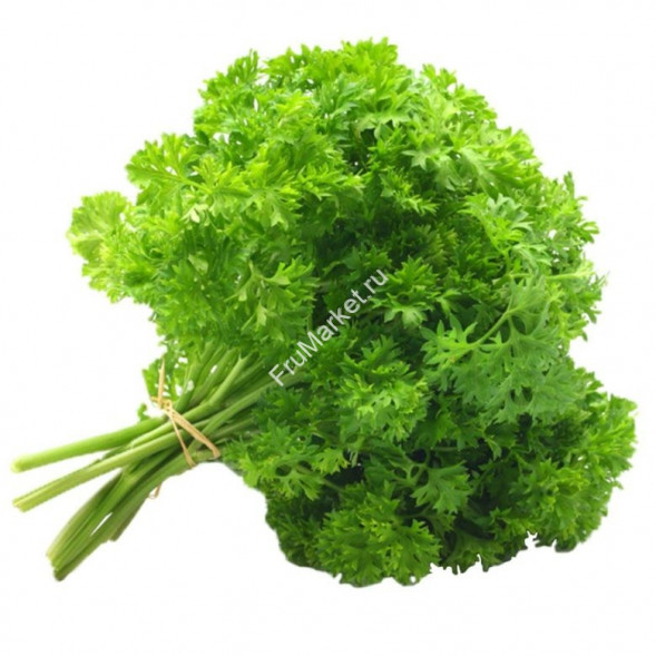 Петрушка кудрявая 1 кг