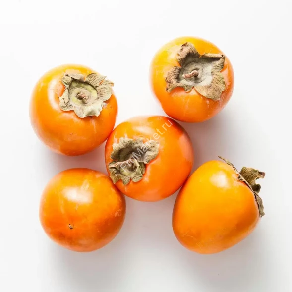 Хурма Свечка Узбекистан 0.5 кг