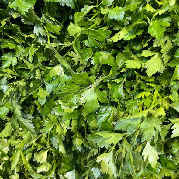 Петрушка 1 кг