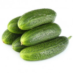Огурцы Луховицкие свежие 1 кг