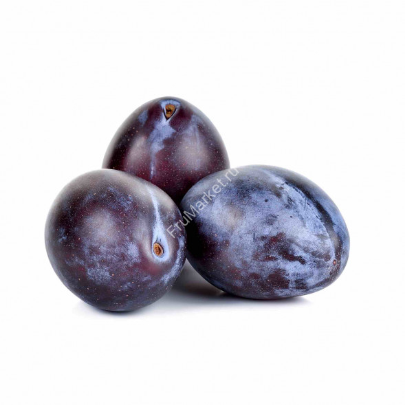 Слива Темная 1 кг