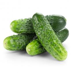 Огурцы Маша F1 свежие 1 кг