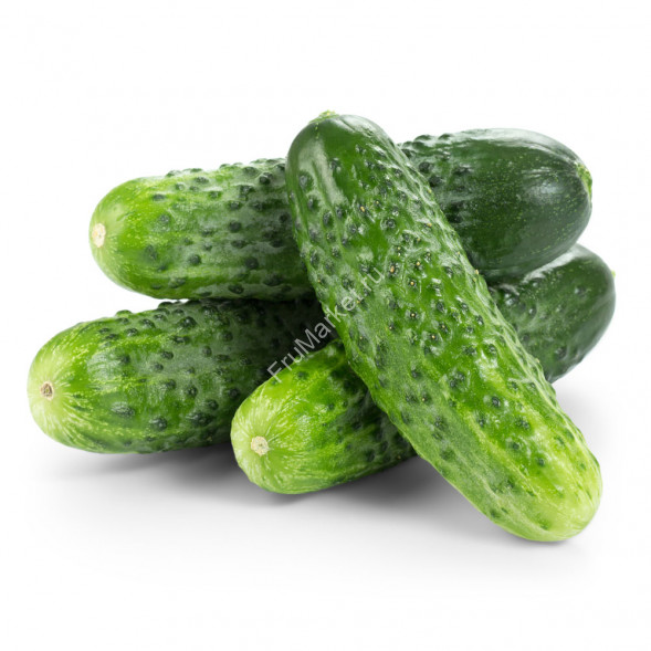 Огурцы Маша F1 свежие 1 кг
