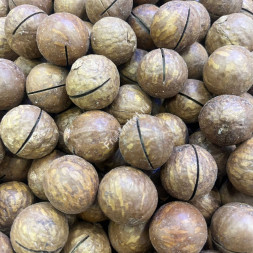 Макадамия в скорлупе Австралия 1 кг