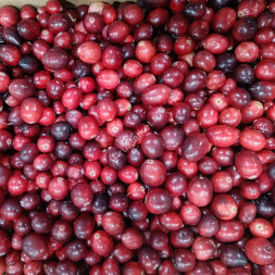 Клюква свежая садовая крупная 1 кг