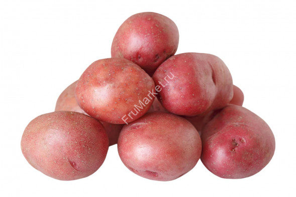 Картофель красный Россия 1 кг