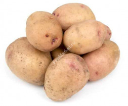 Картофель Синеглазка 1 кг