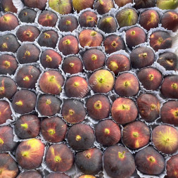 Инжир фиолетовый Армения 0.5 кг