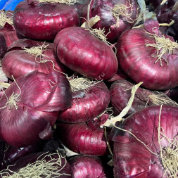 Красный Крымский (Ялтинский) лук 1 кг