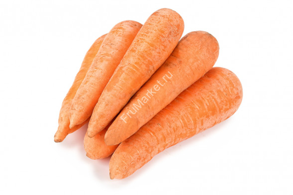 Морковь мытая 1 кг