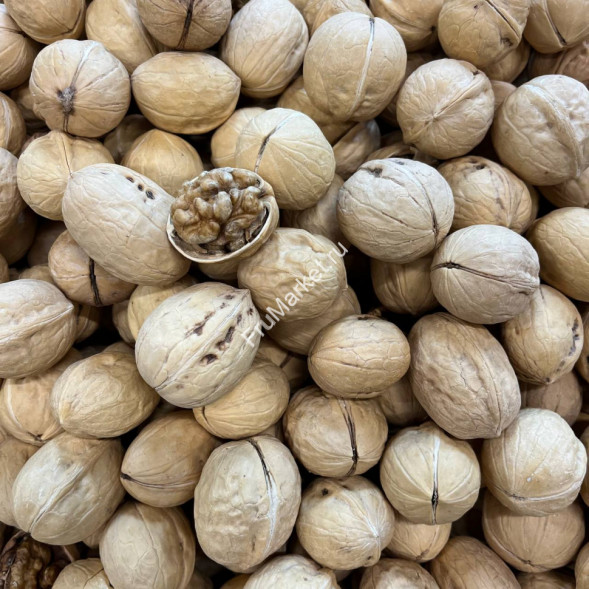 Грецкий орех в скорлупе Китай 1 кг