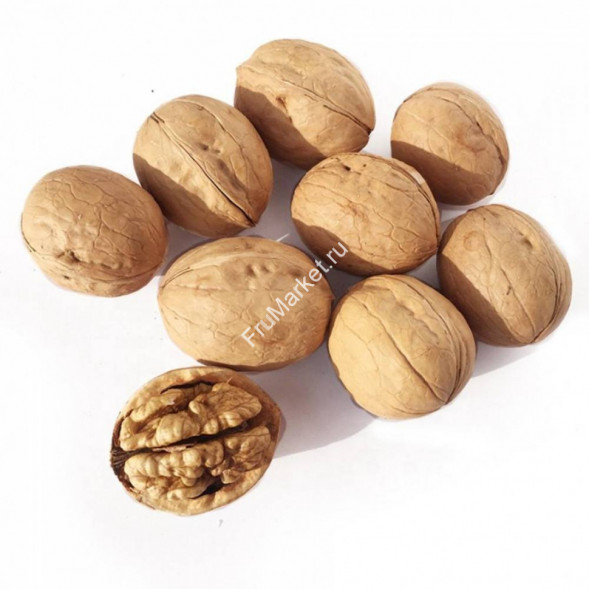 Грецкий орех в скорлупе Китай 0.5 кг