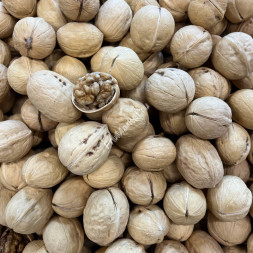 Грецкий орех в скорлупе Китай 0.5 кг