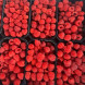 Свежая малина 1 кг Россия