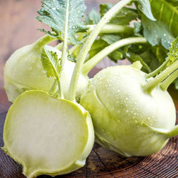 Капуста Кольраби 1 кг